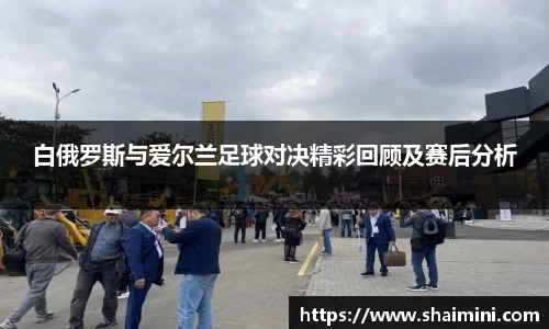 白俄罗斯与爱尔兰足球对决精彩回顾及赛后分析